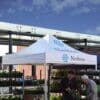 PROTEX 50 2.5mx2.5m gazebo 7